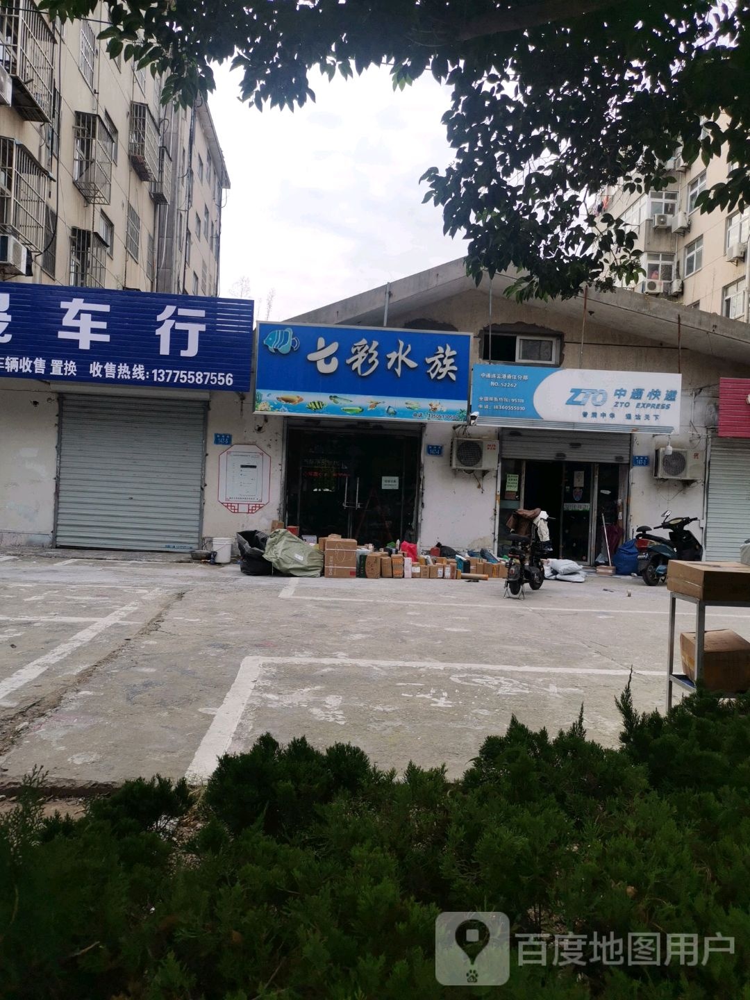 七彩水族(振海路店)