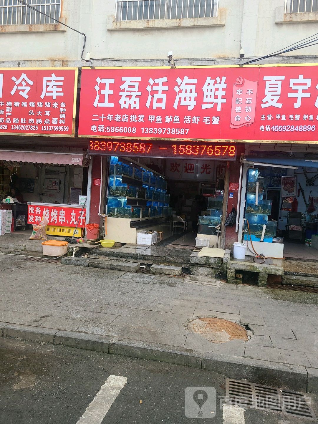 汪磊活海鲜