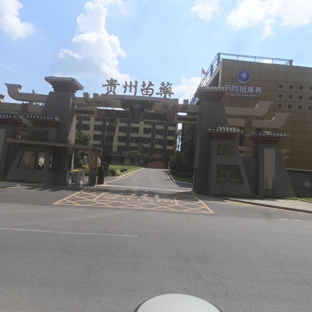 贵州苗药药业有限公司