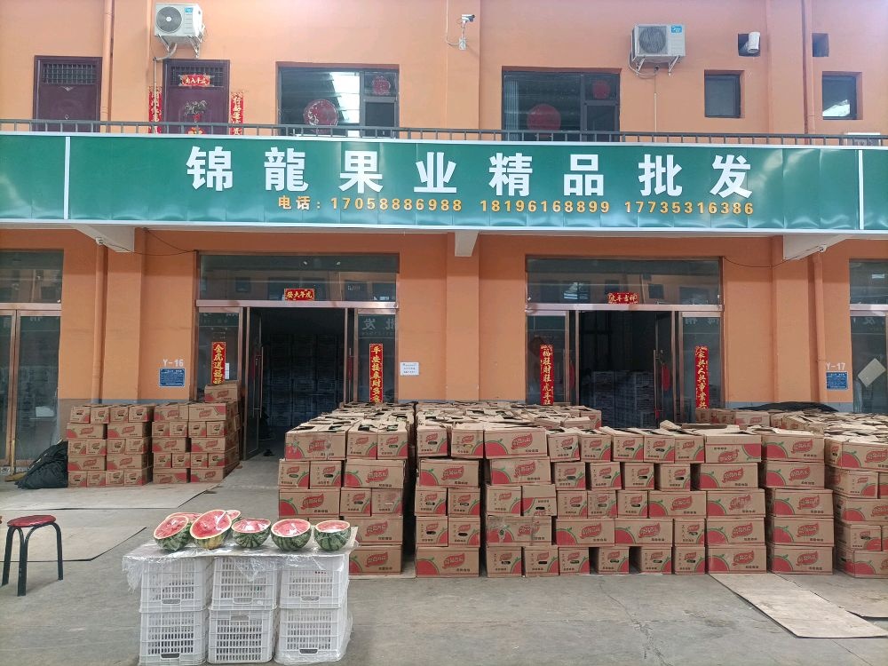 锦龍果业精品批发