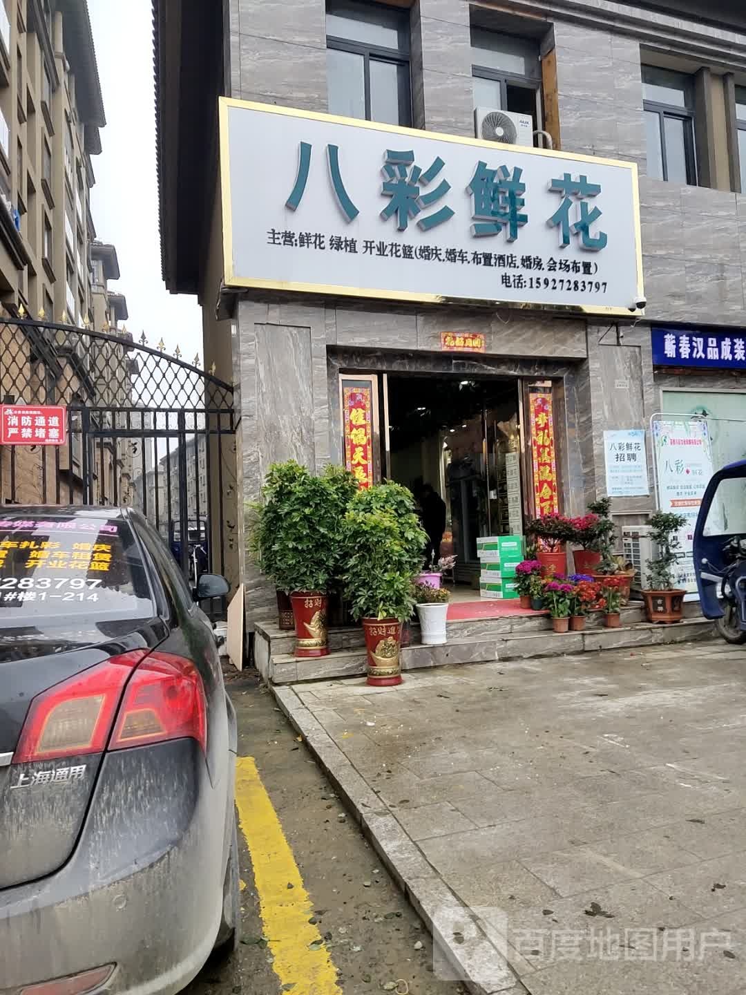 八彩鲜花(金色家园店)