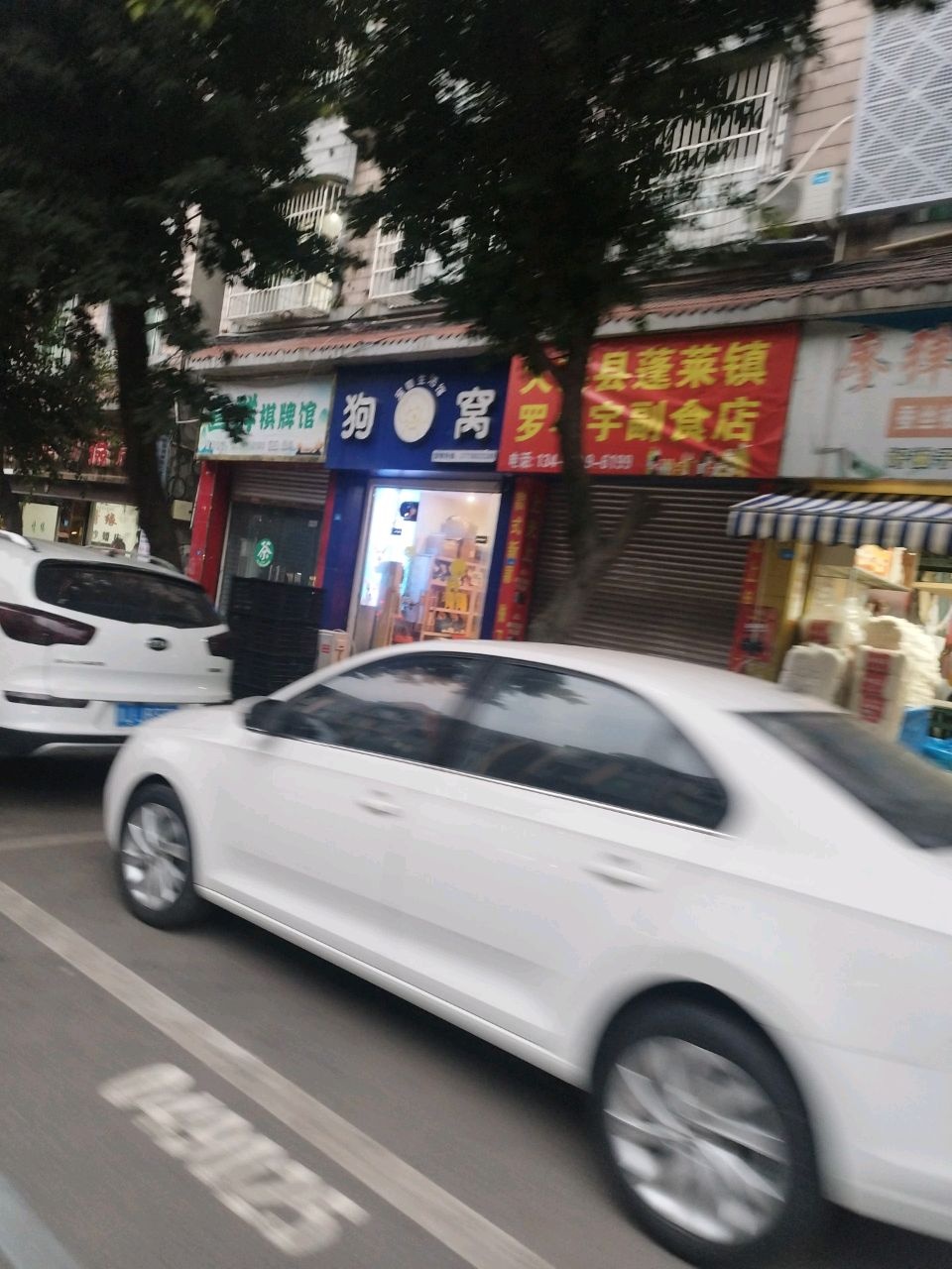 狗窝宠物生活馆