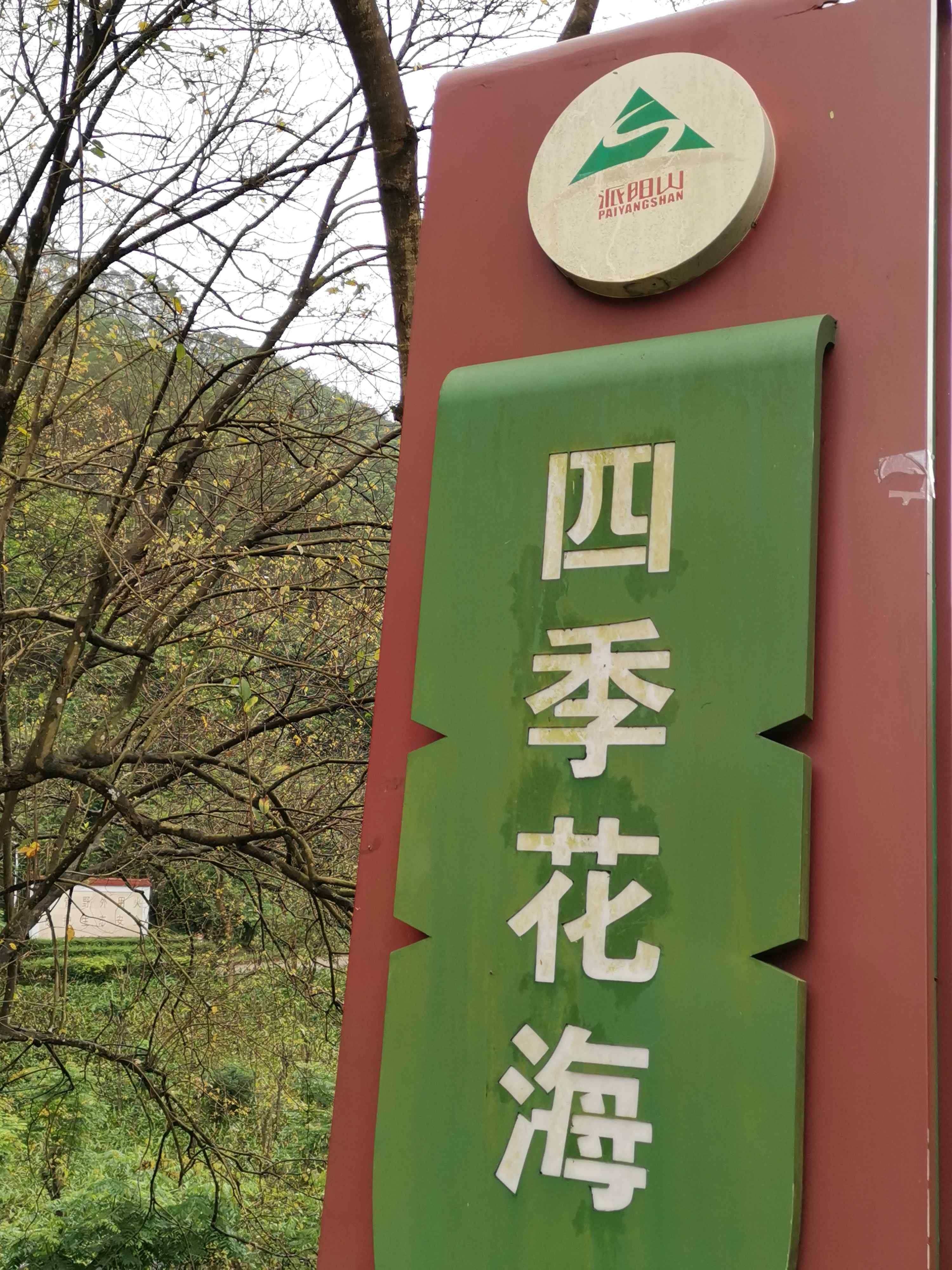 四季花海