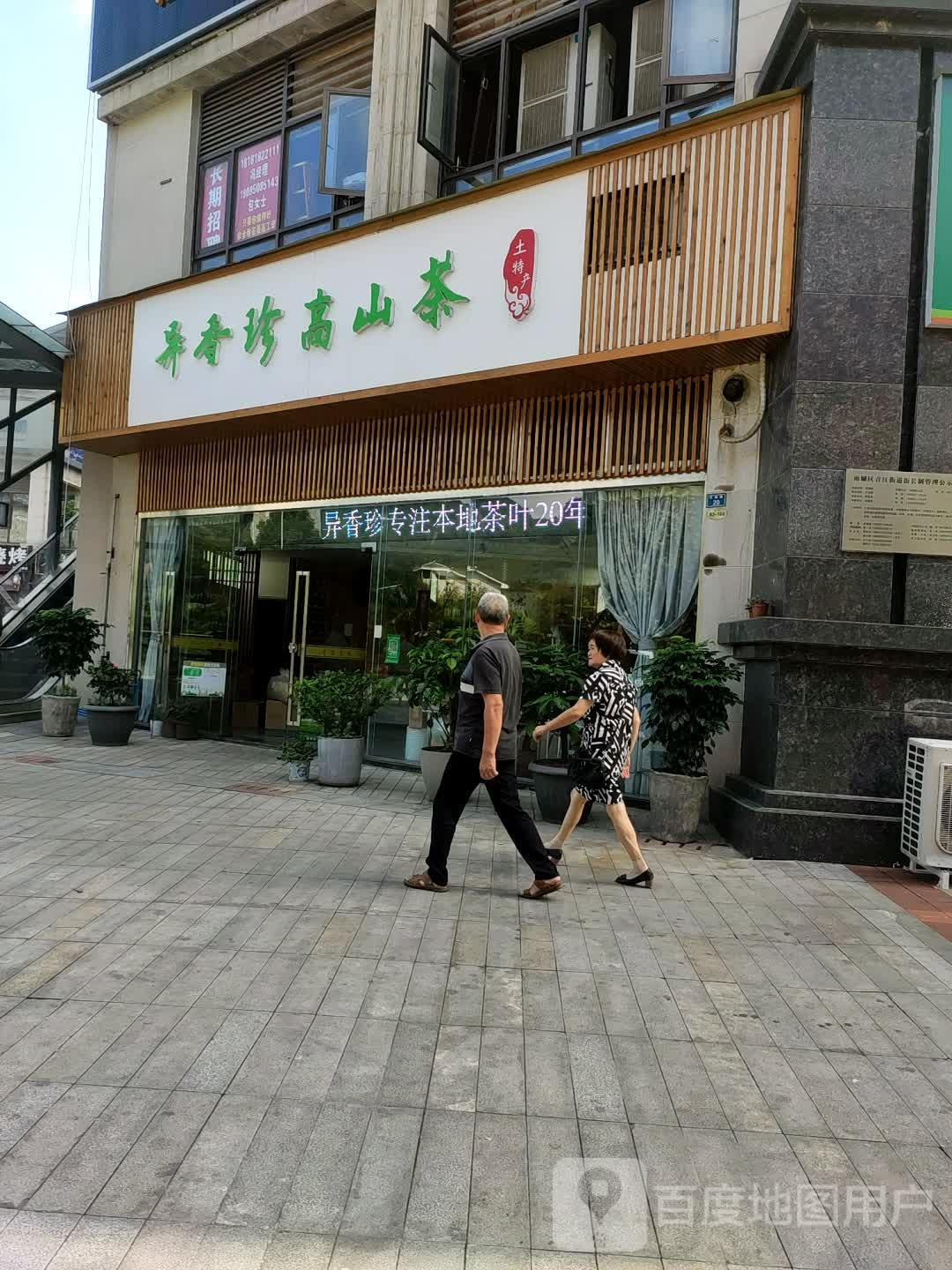 异香珍高山茶