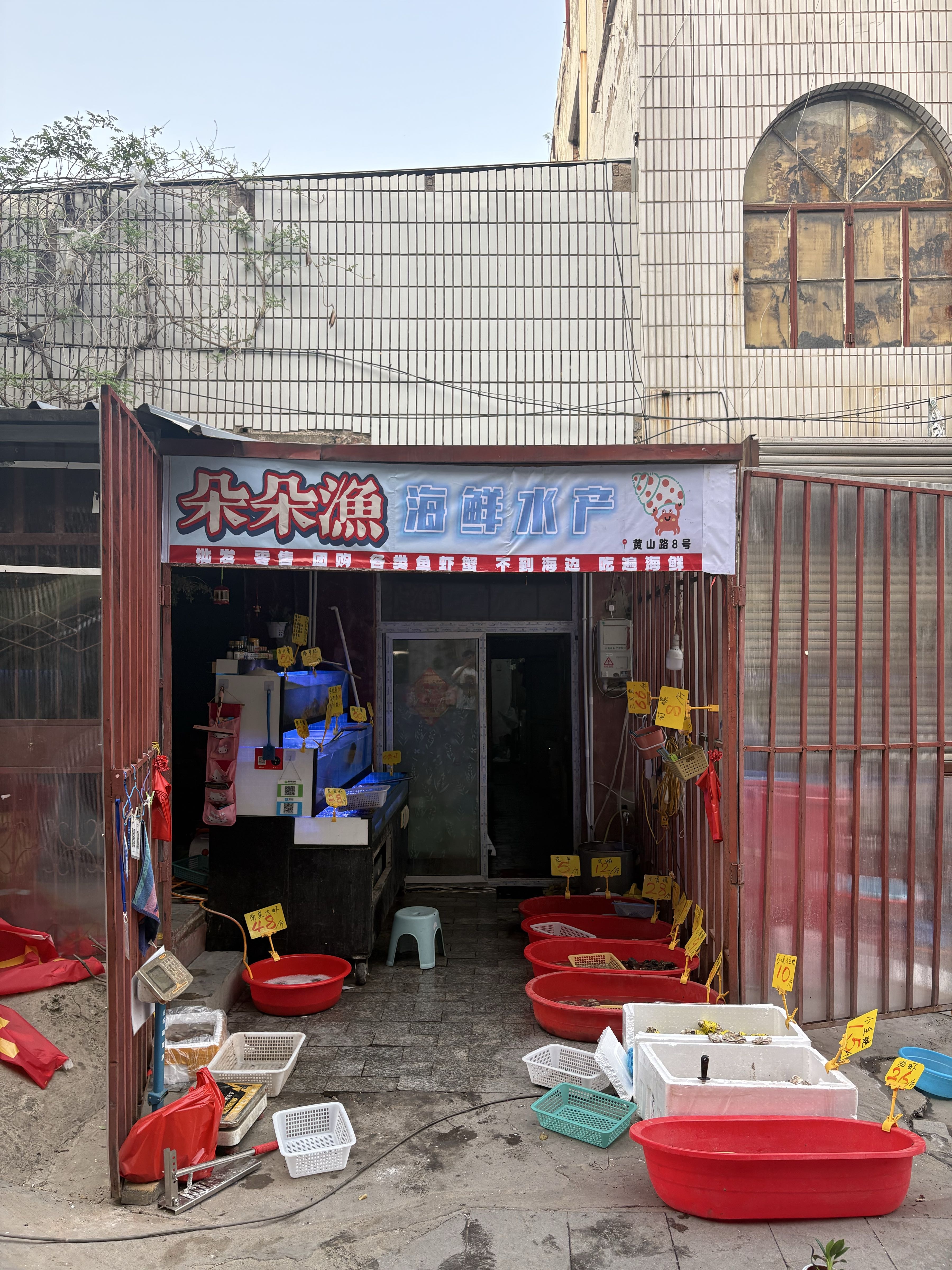 朵朵渔海鲜水产