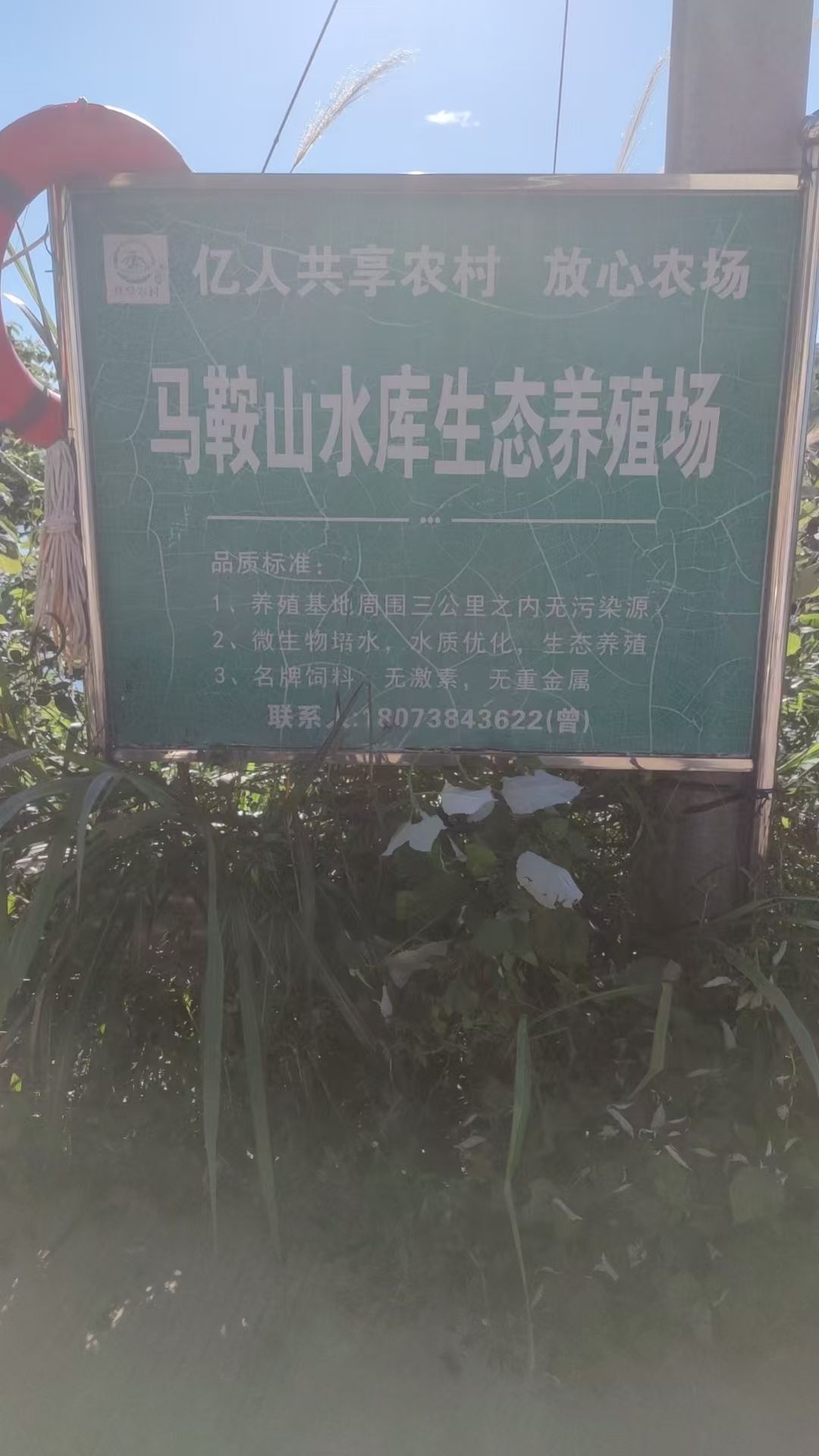 马鞍山水库(垂钓场)