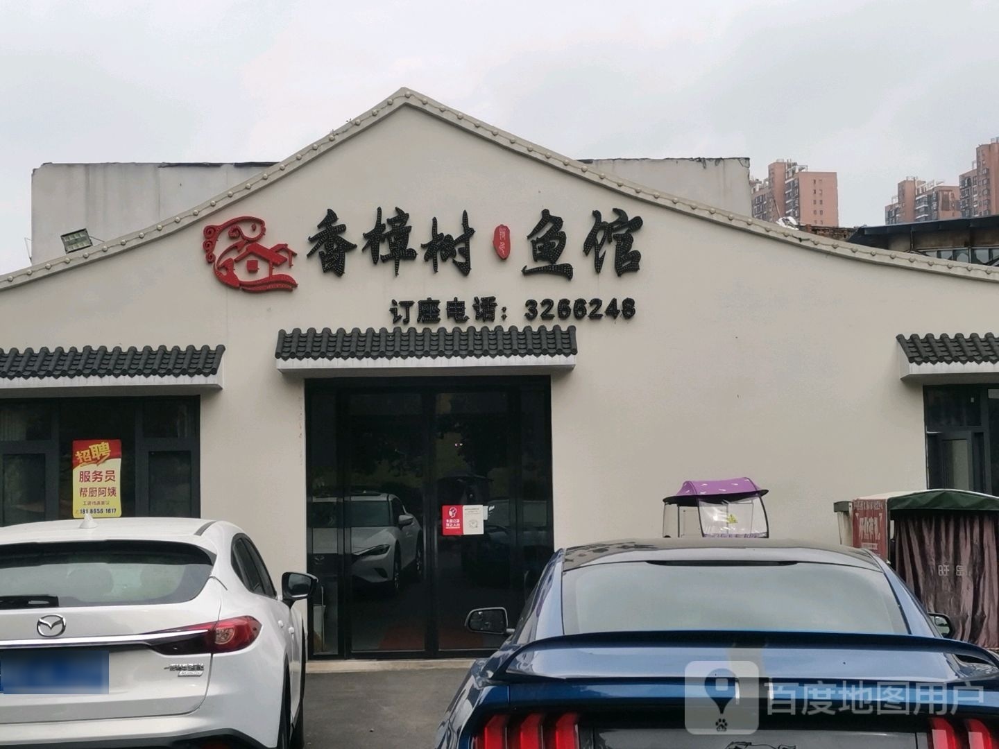 香樟树鱼馆