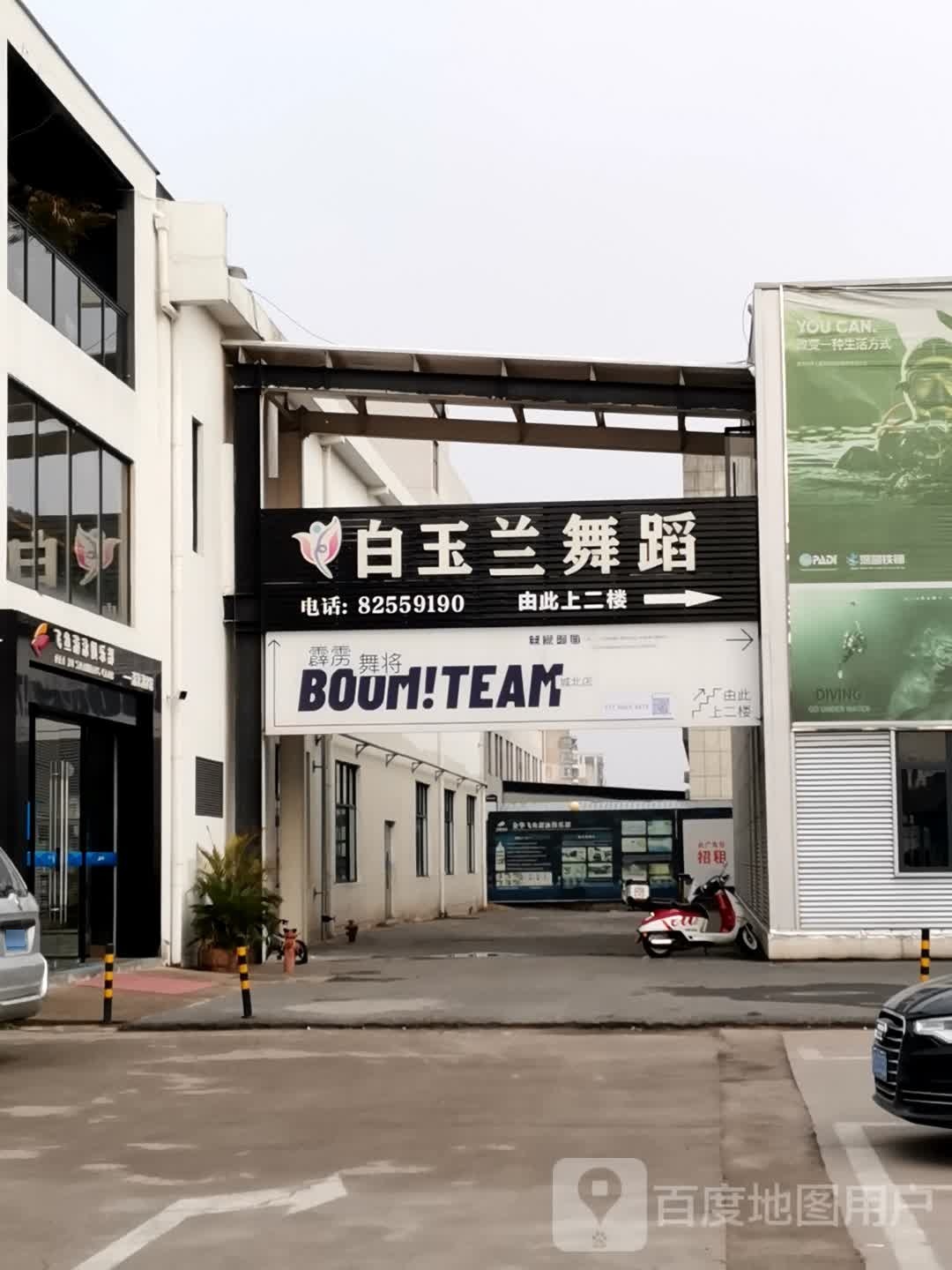 金华飞鱼游泳潜水俱乐部(城北店)