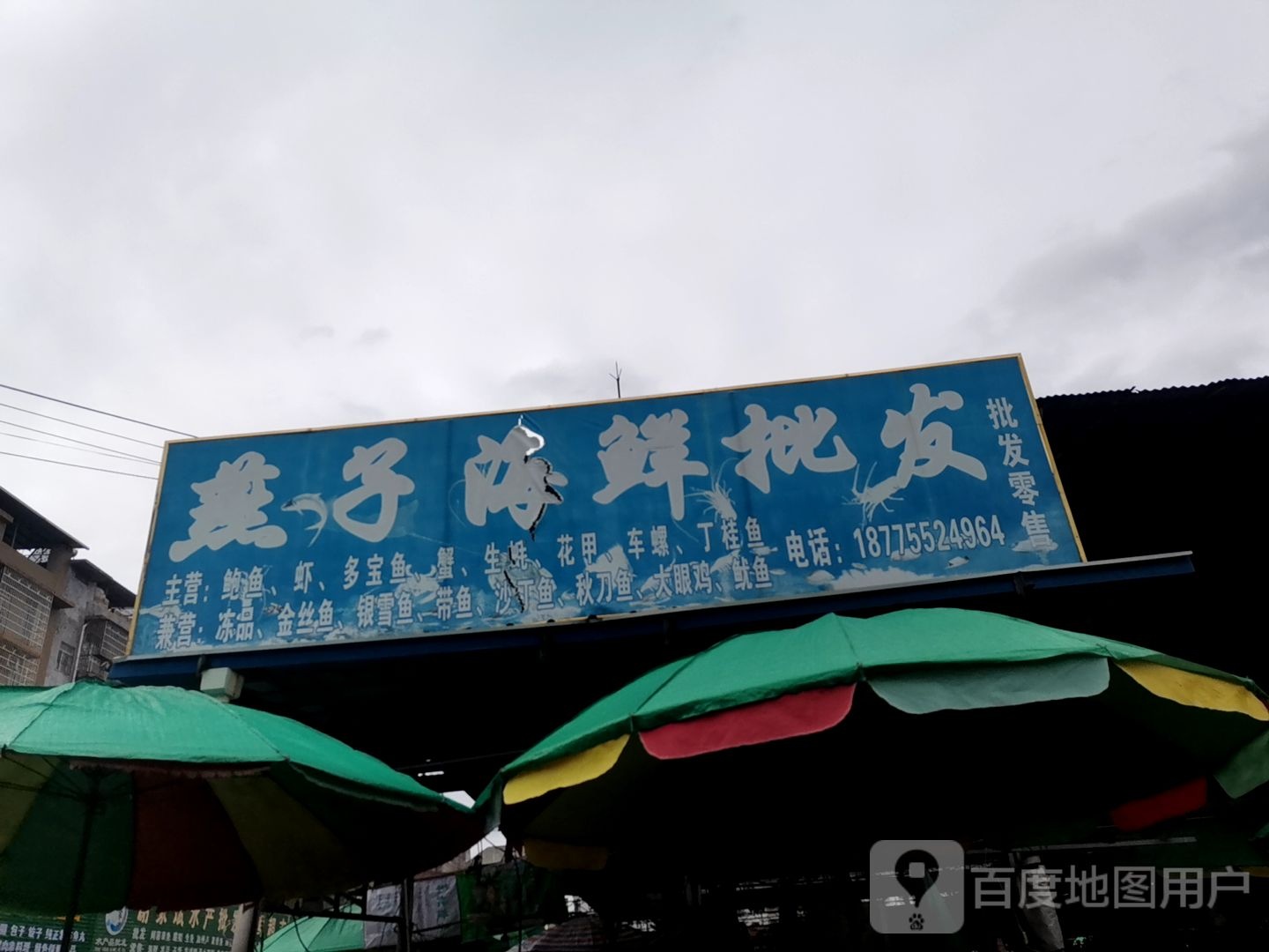 燕子海鲜批发