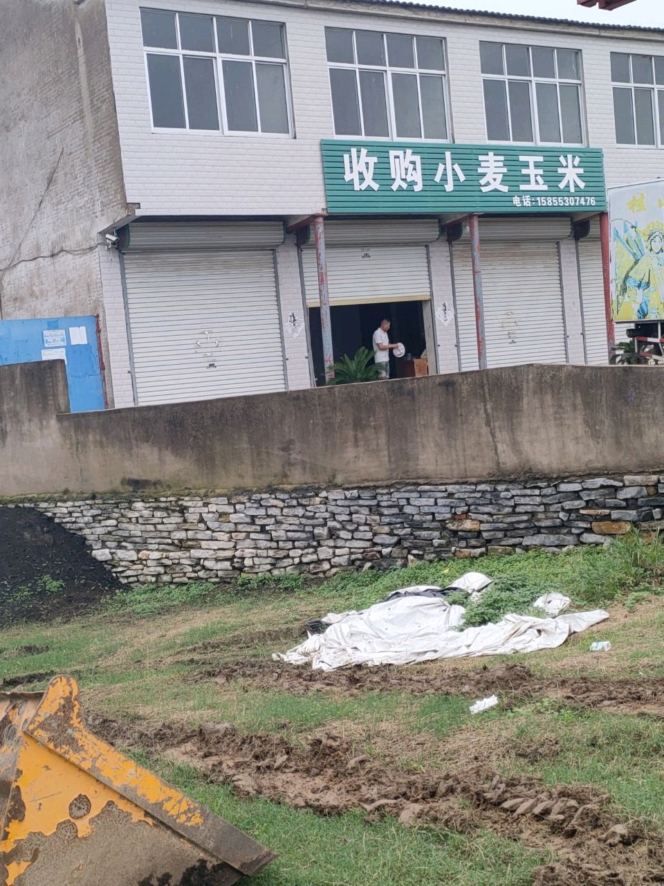 收购小麦玉米