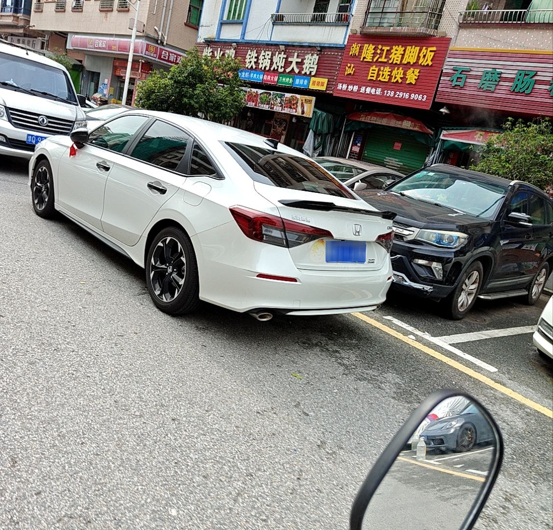 柴火鸡铁锅炖大鹅