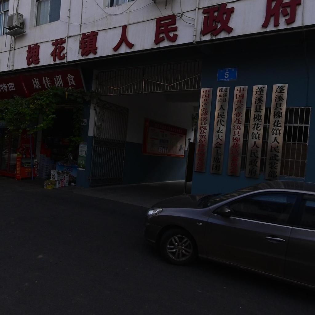 蓬溪县槐花镇人民政府