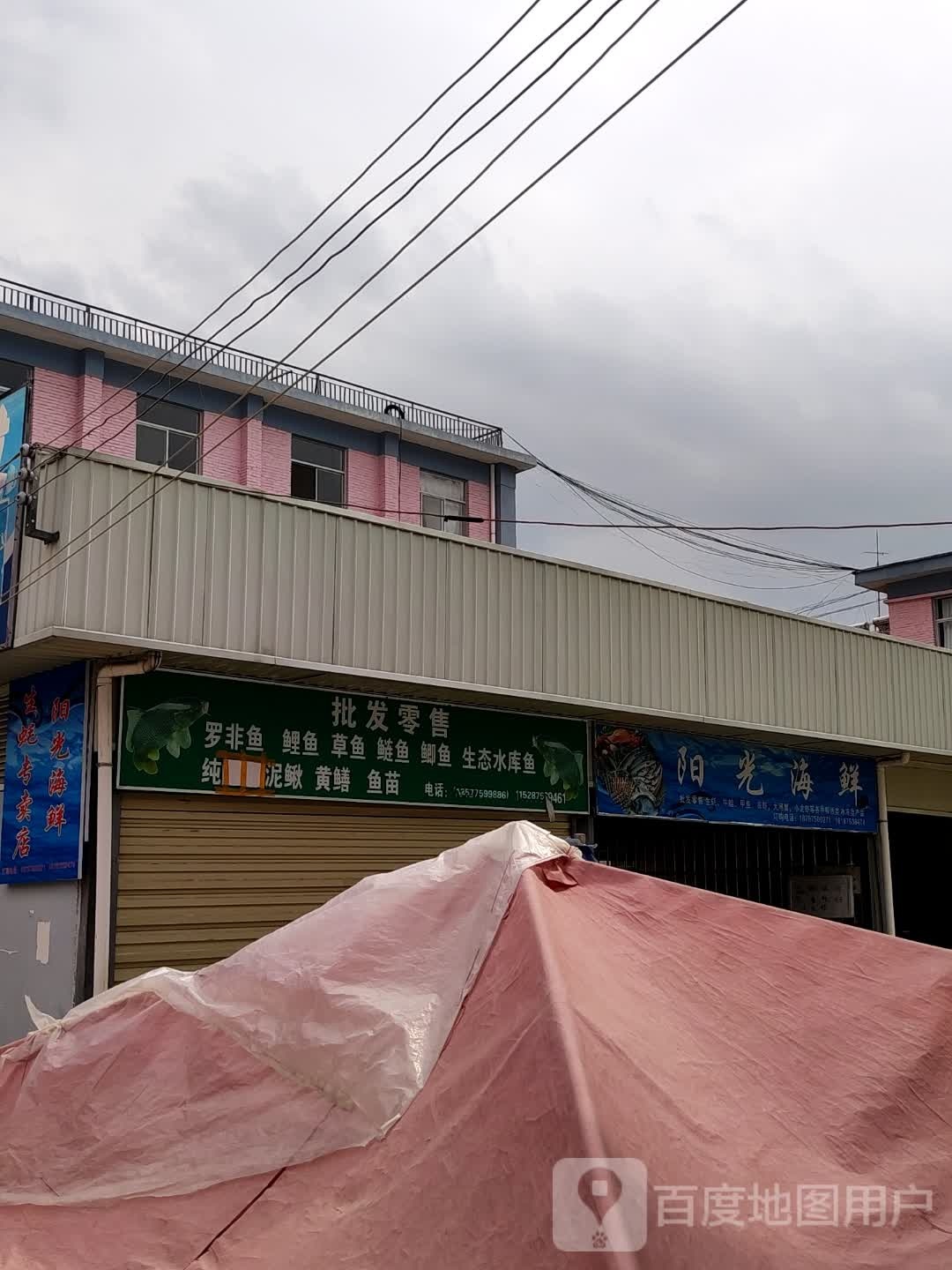 阳光海鲜自