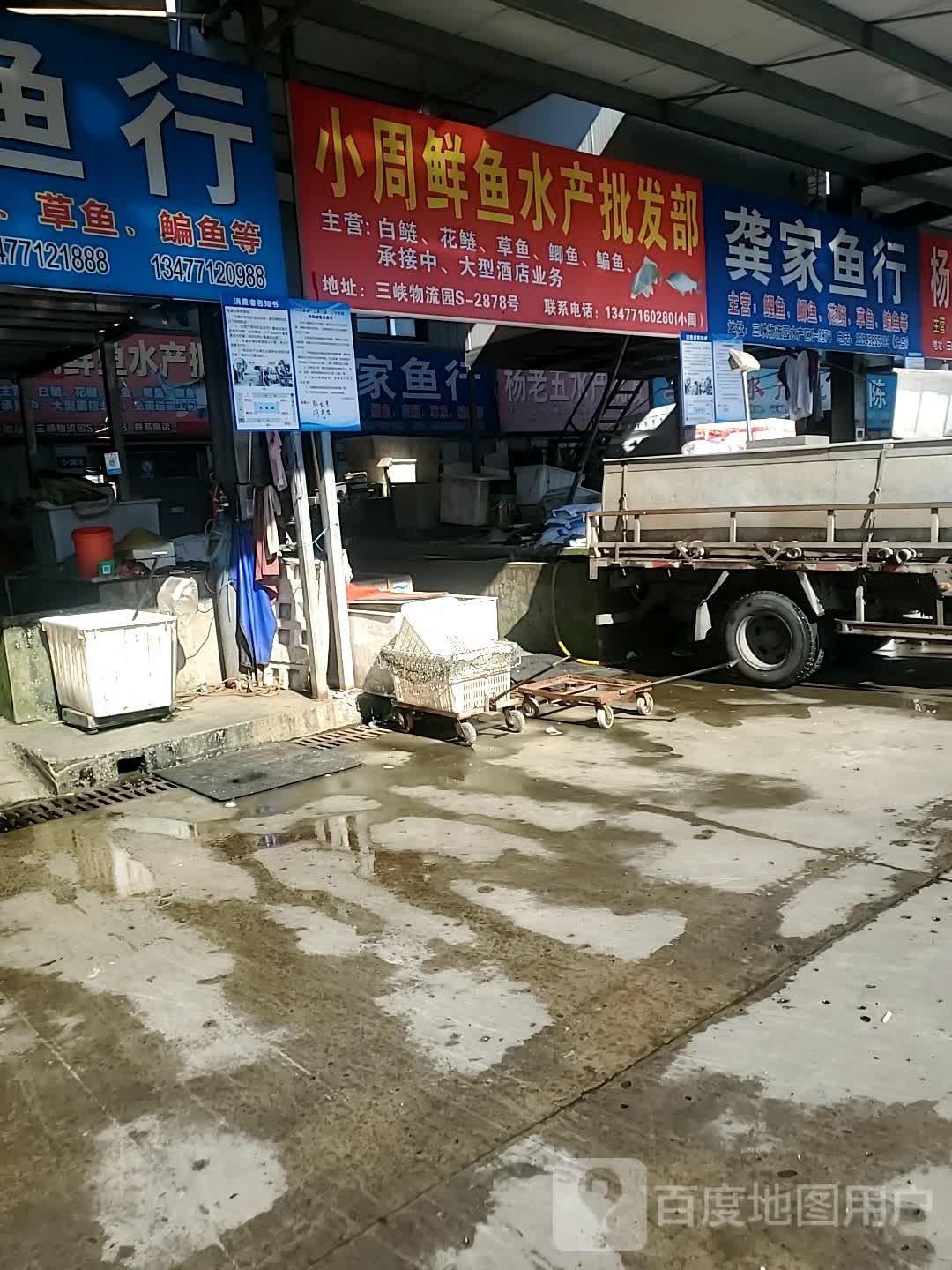 小周鲜鱼水产企发部