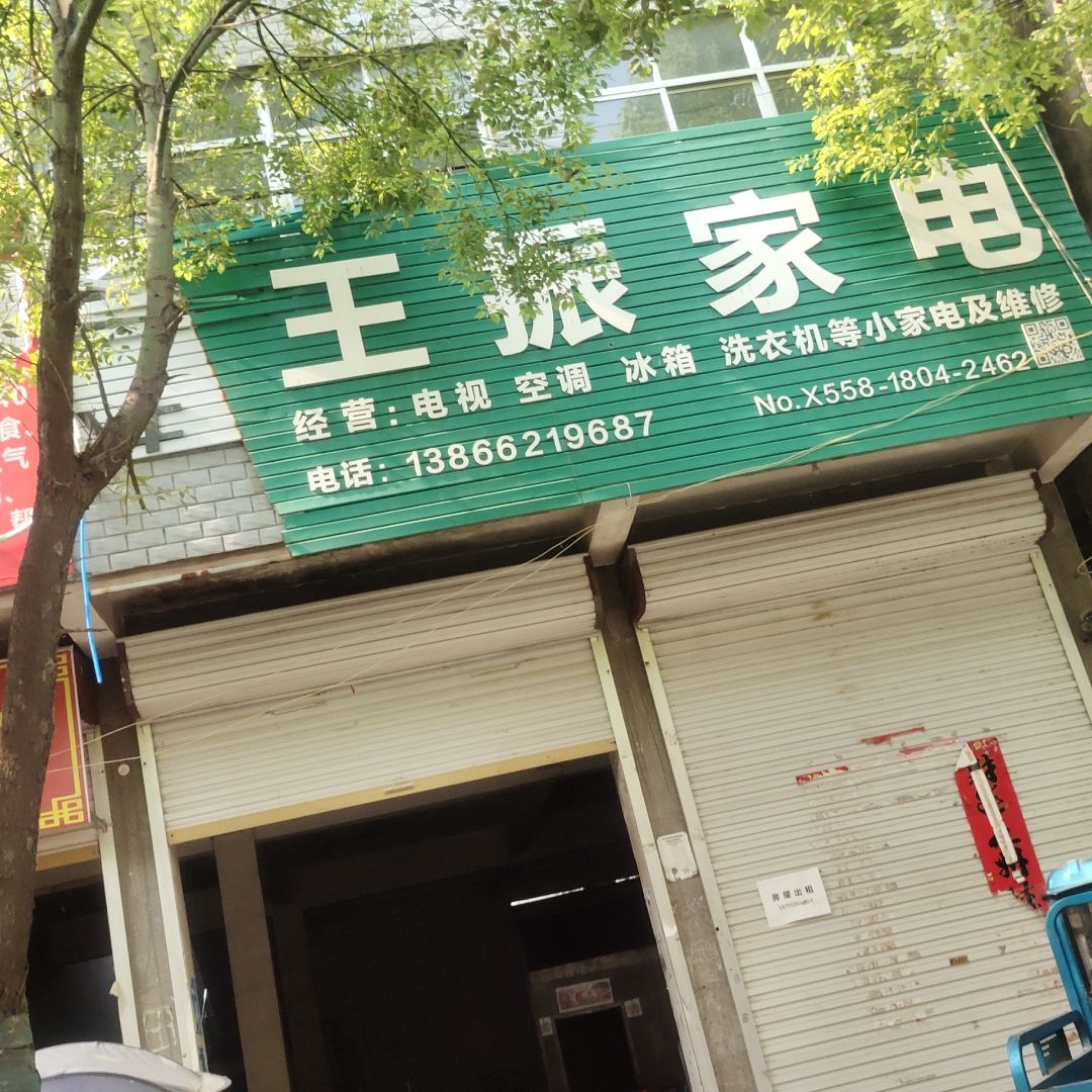 王振家电