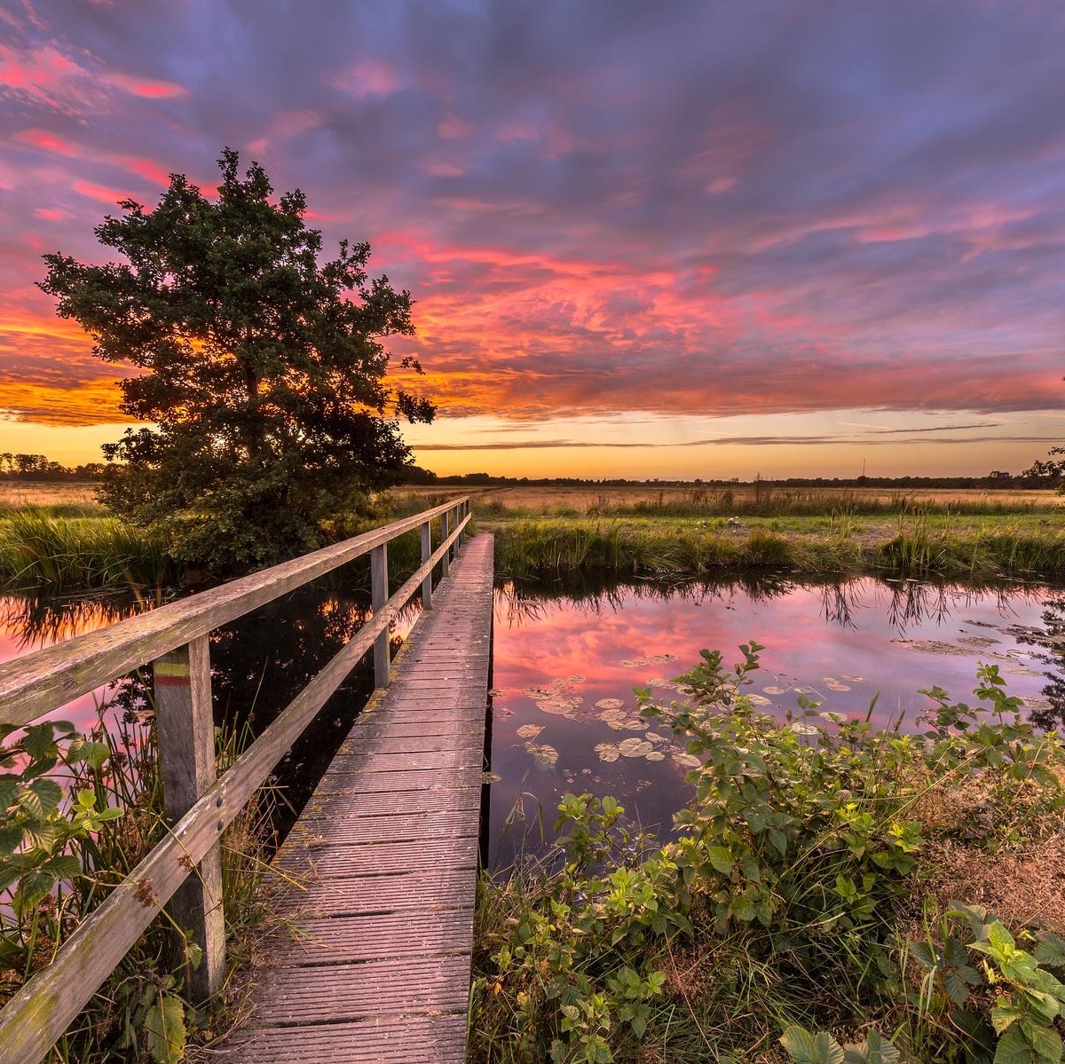 哈巴湖生态旅游区