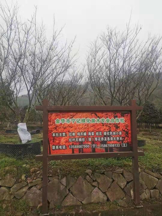 金华市宁记苗木专业合作社