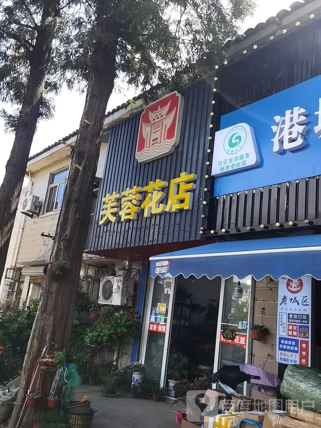 芙蓉花店(园林路店)