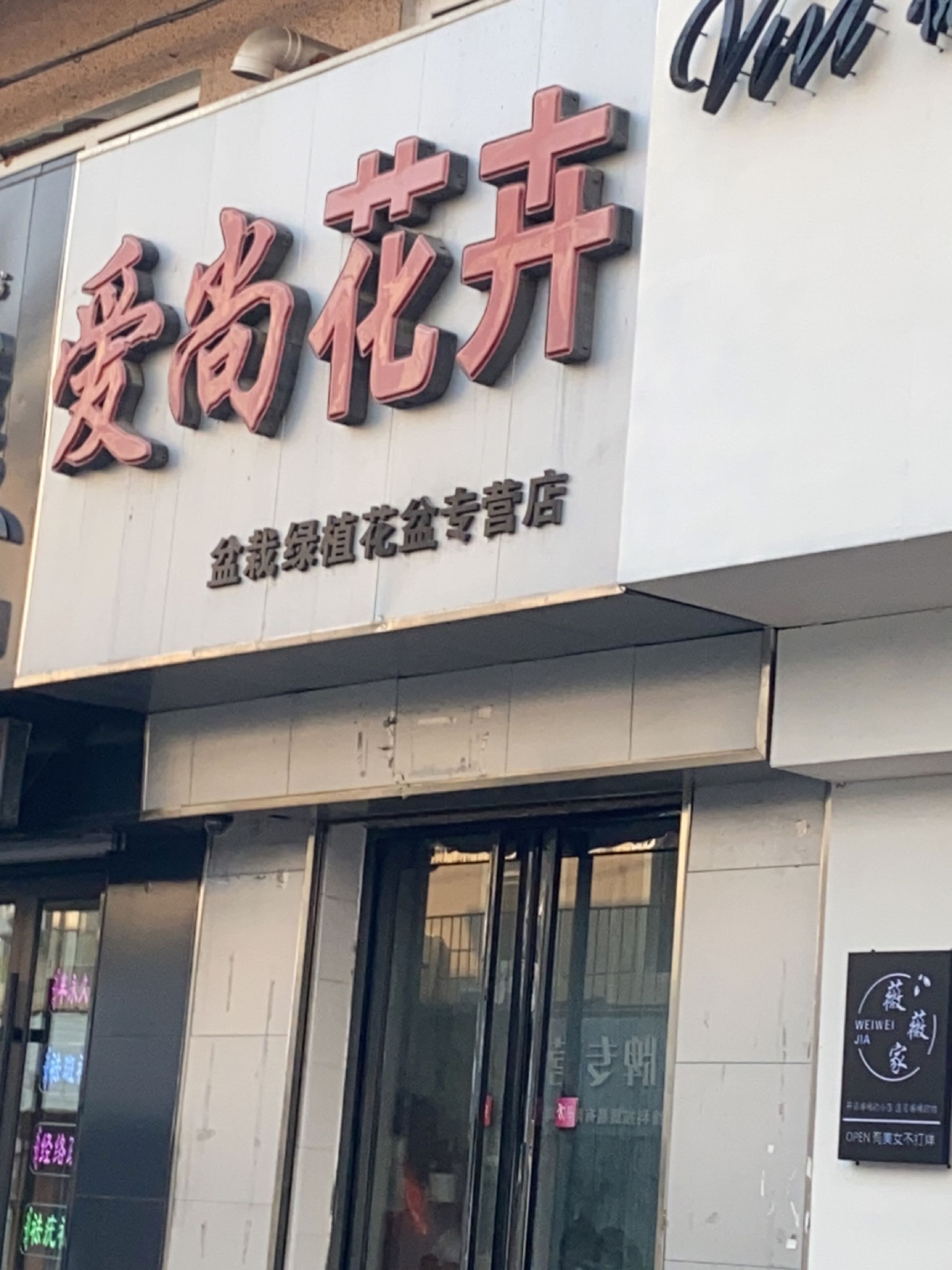 爱尚花卉(南福胡同店)