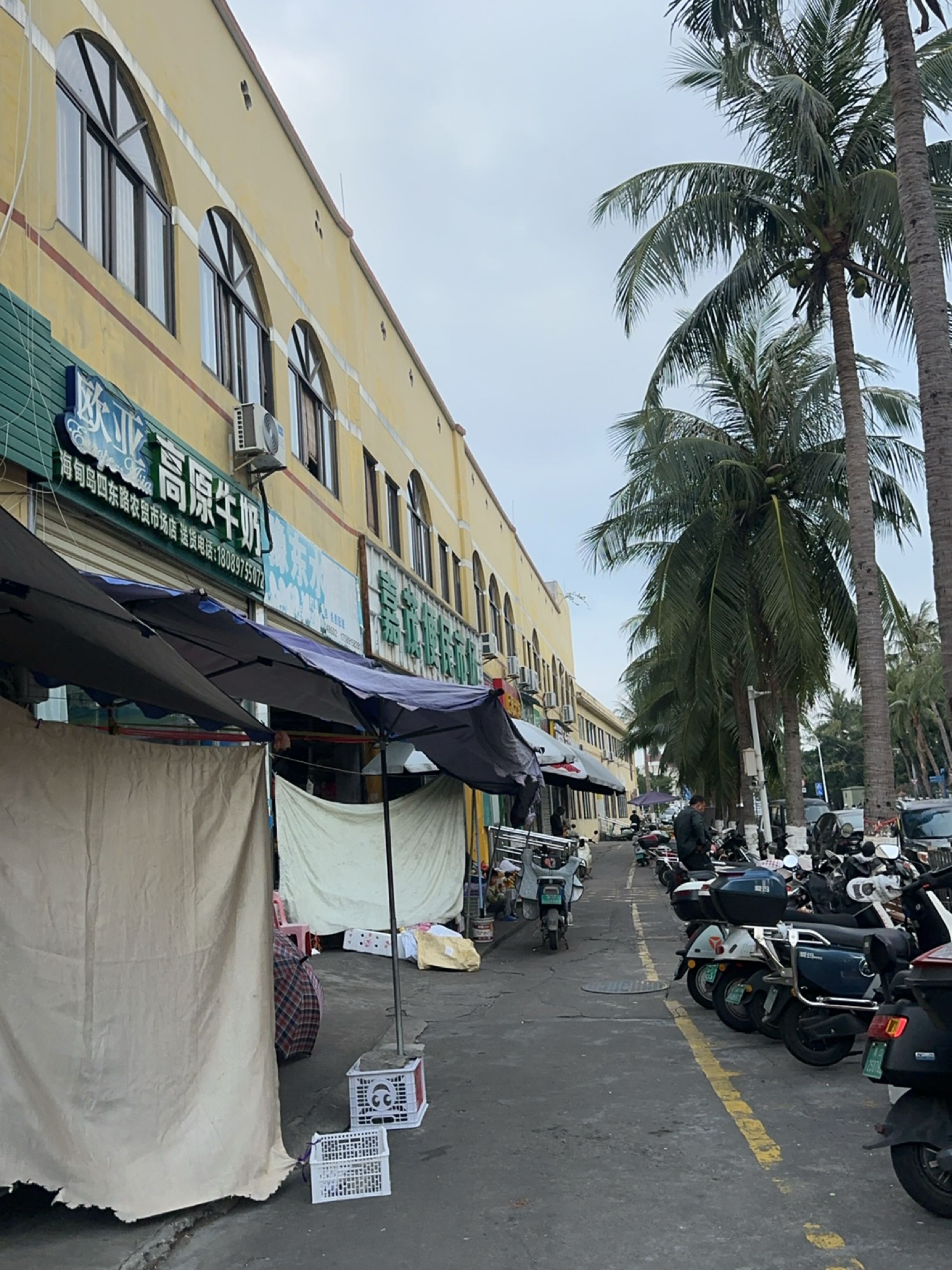 豫东水果店