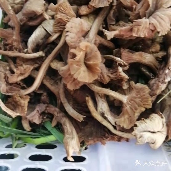 野菌王养生堂锅(云鹤路店)
