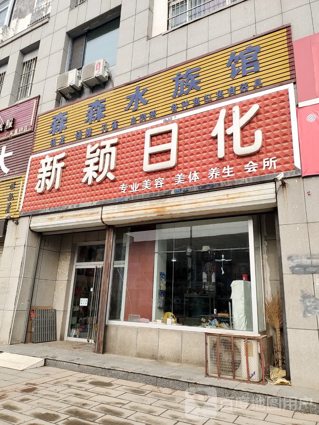 森森四水馆
