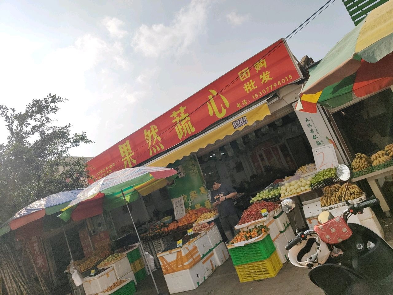 果然蔬心团购批发