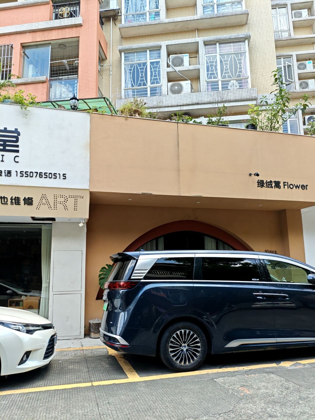 绿绒蒿Flower(假日街店)