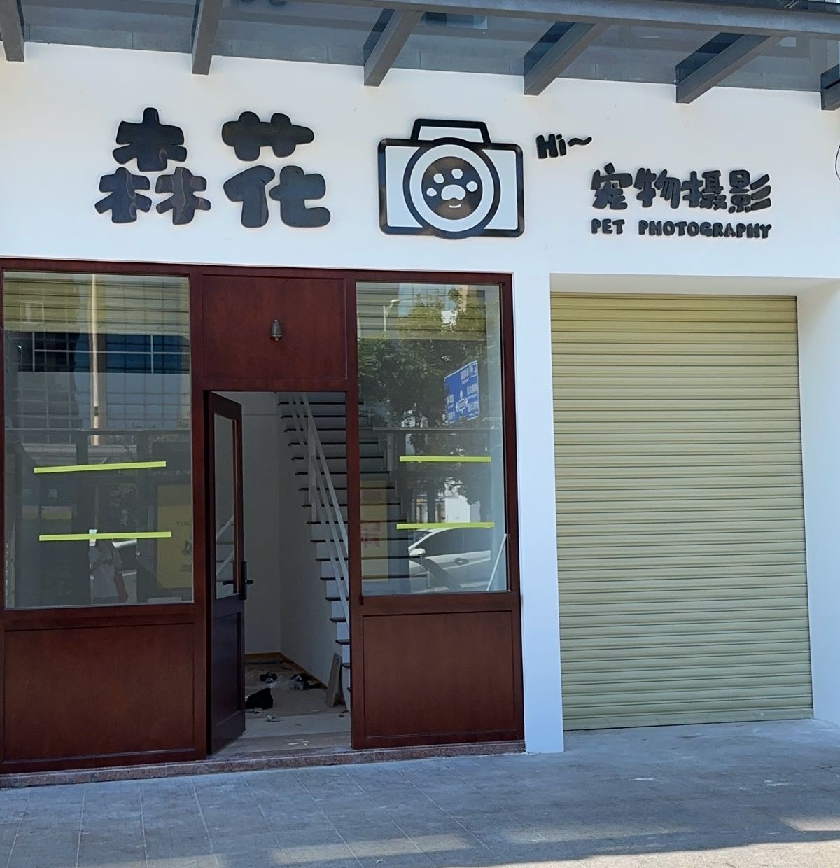 森花宠物摄影工作室
