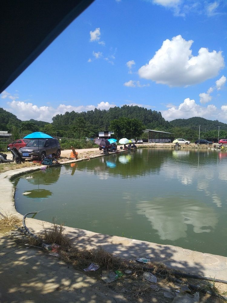 相思湖十三钓鱼场