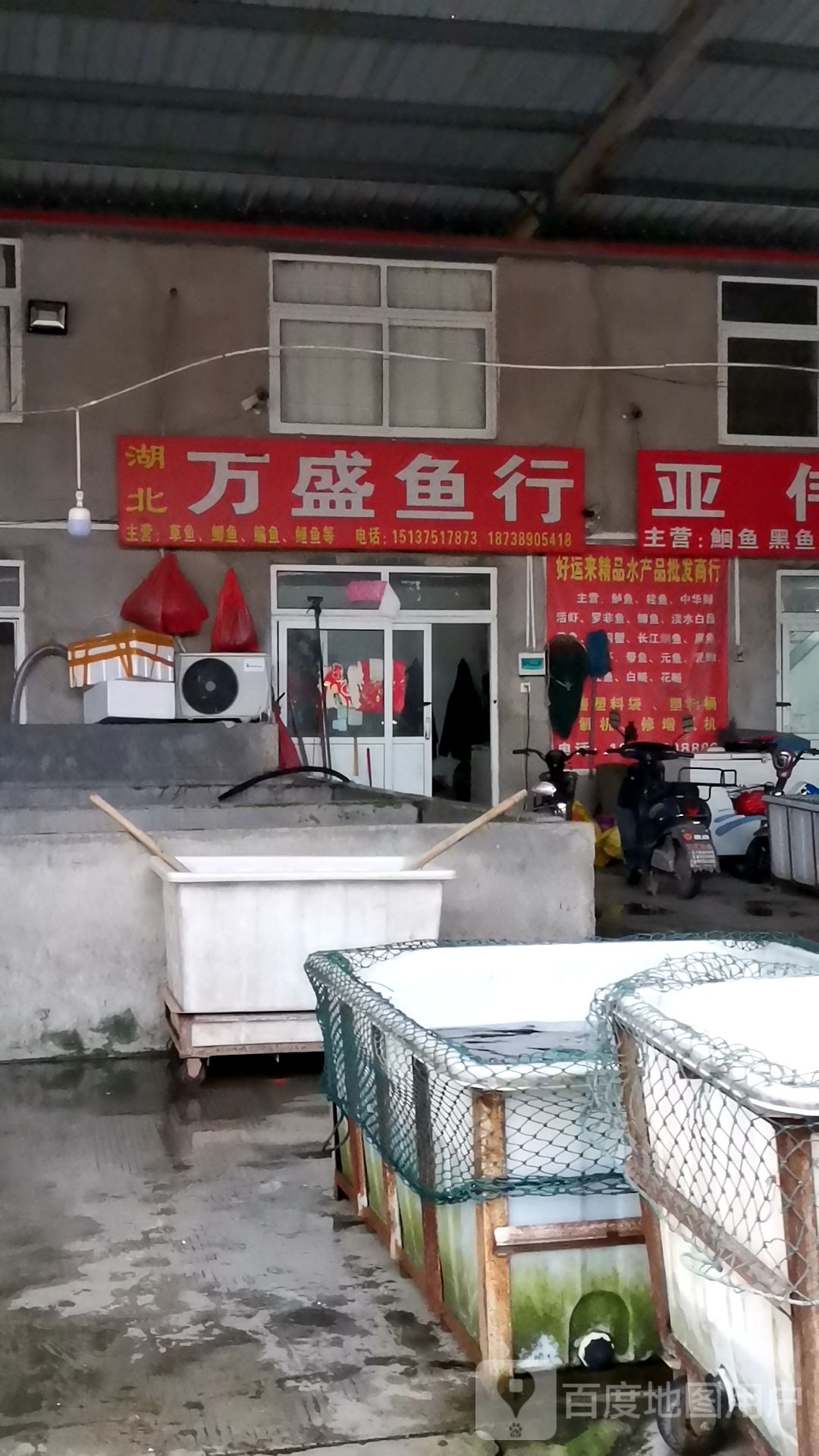万省鱼行
