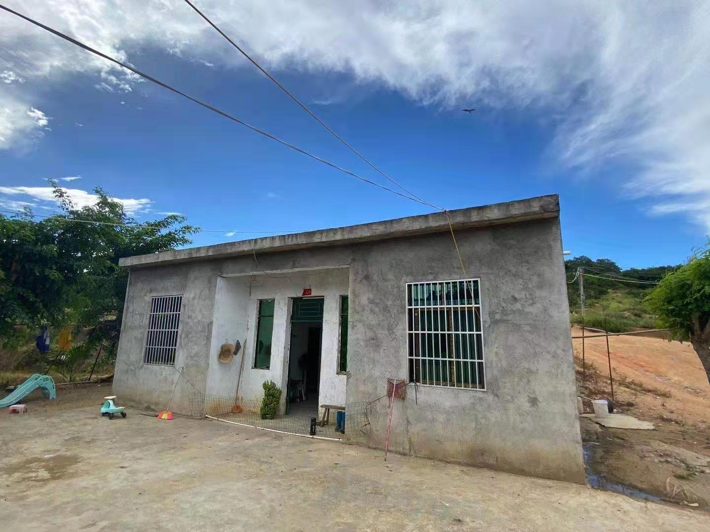 智诚伟业绿橙基地