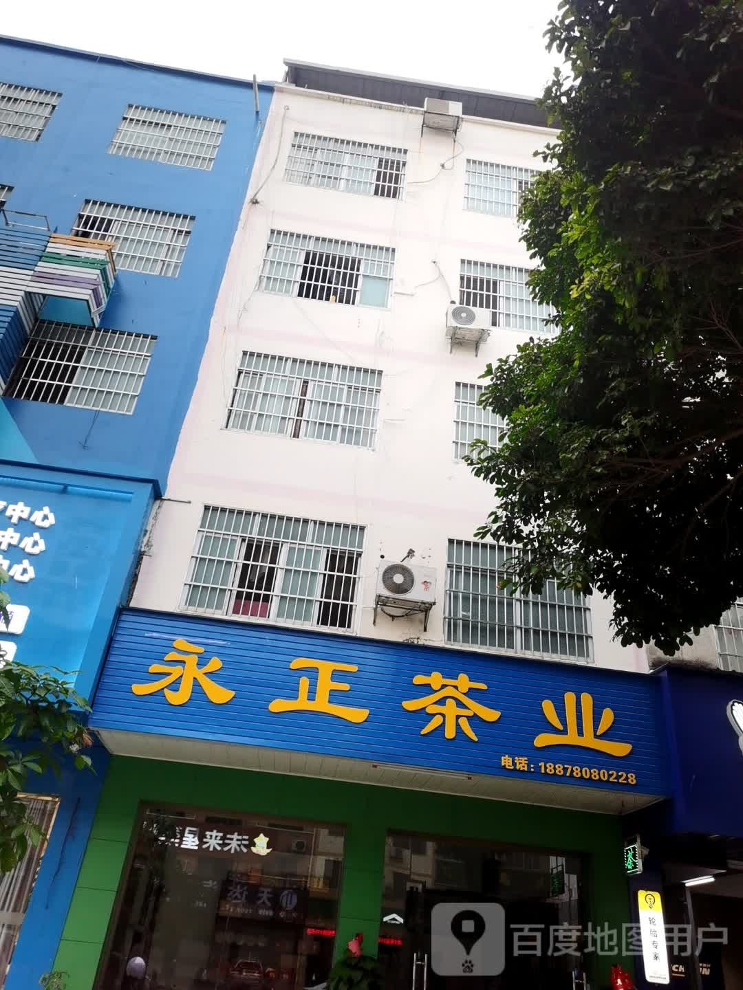 永正茶业