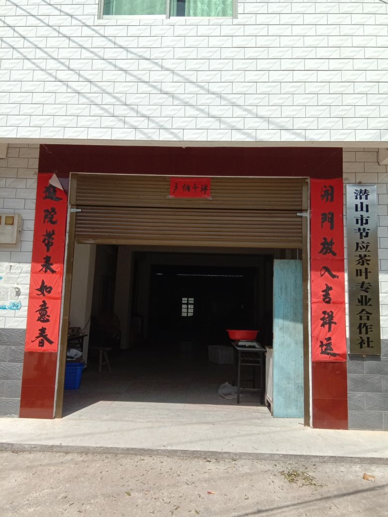 潜山市节应茶叶专业合作