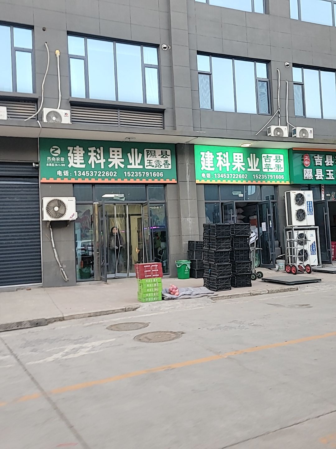 建科果业