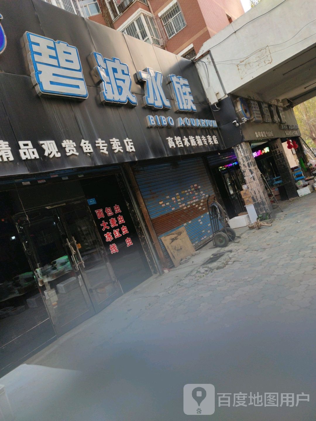 碧海水族