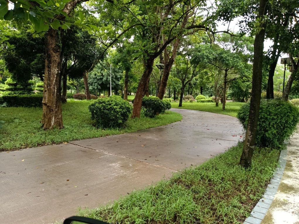 广东省和平农场