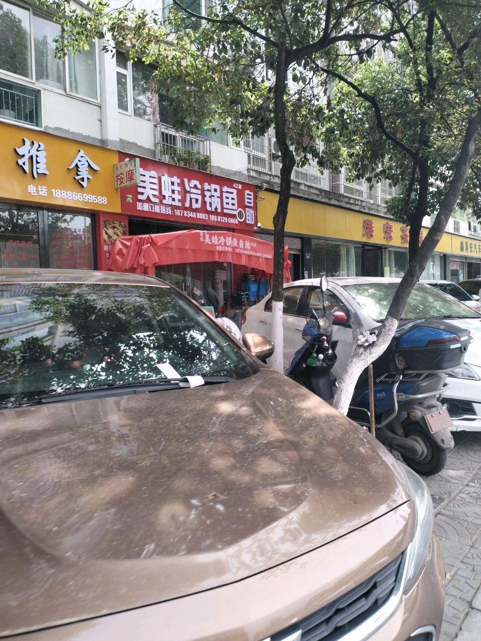 安摩美蛙冷锅鱼