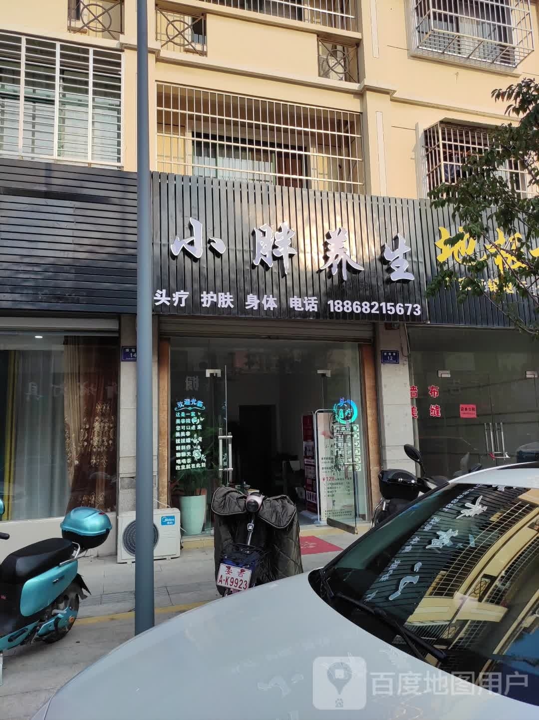 小胖养生