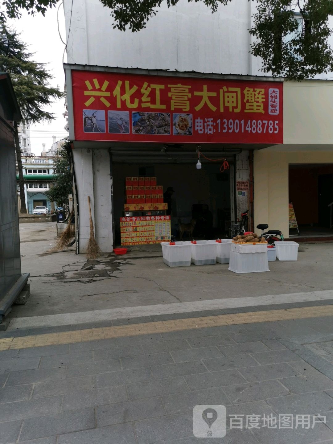 州红膏大闸蟹(孩儿巷北路店)