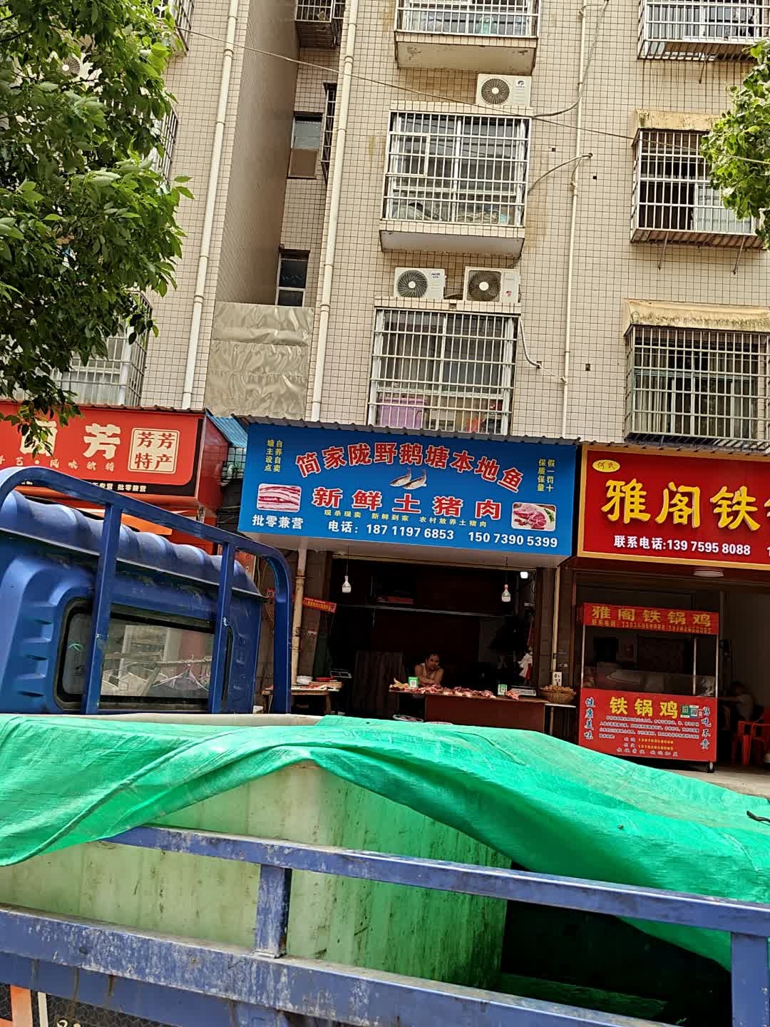 简家陇野鹅塘本地鱼
