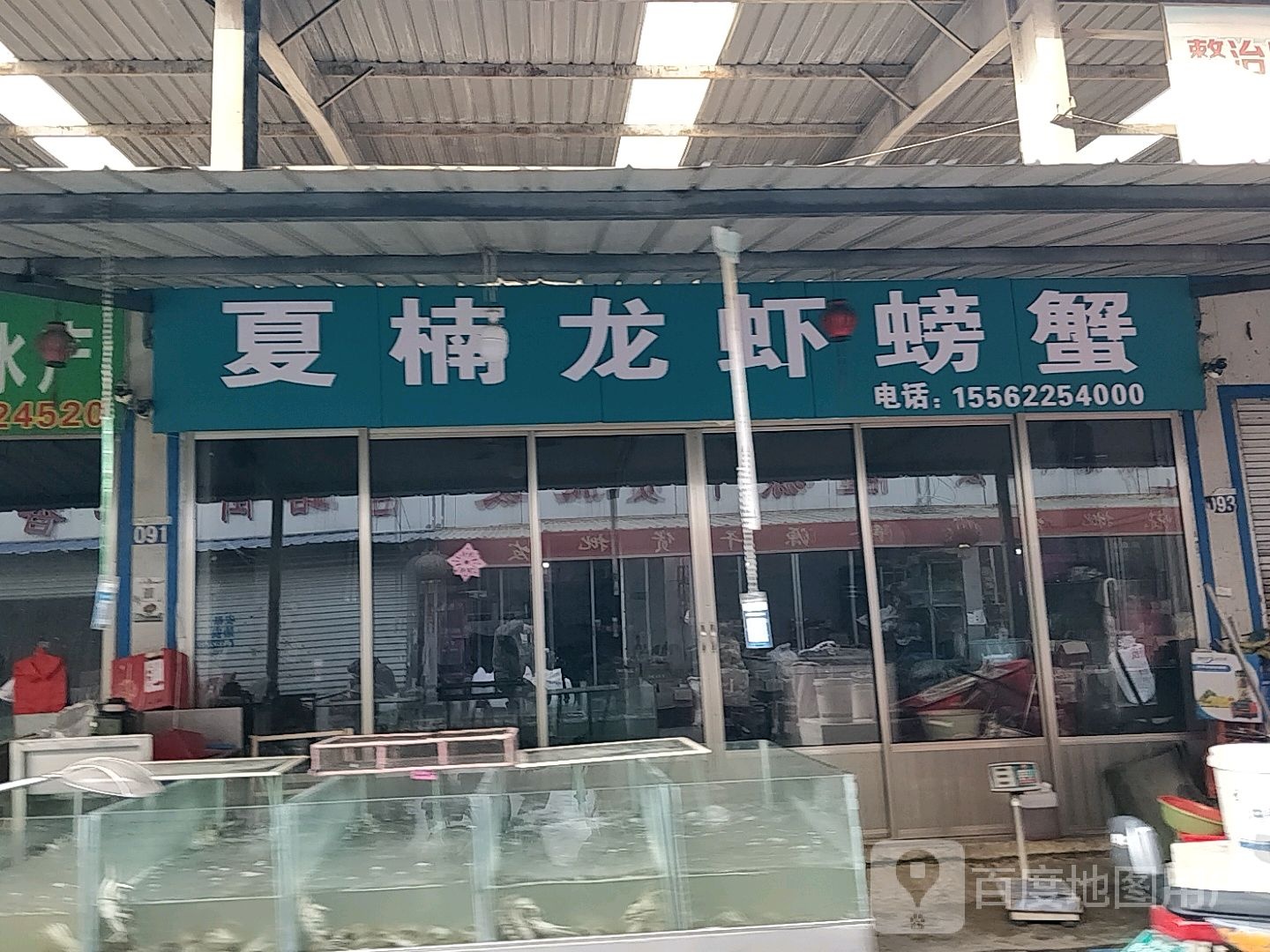夏楠龙虾螃蟹
