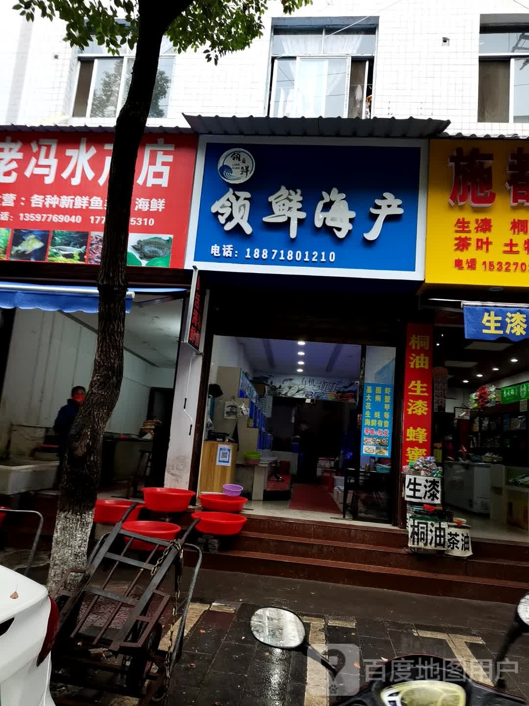 领鲜海参