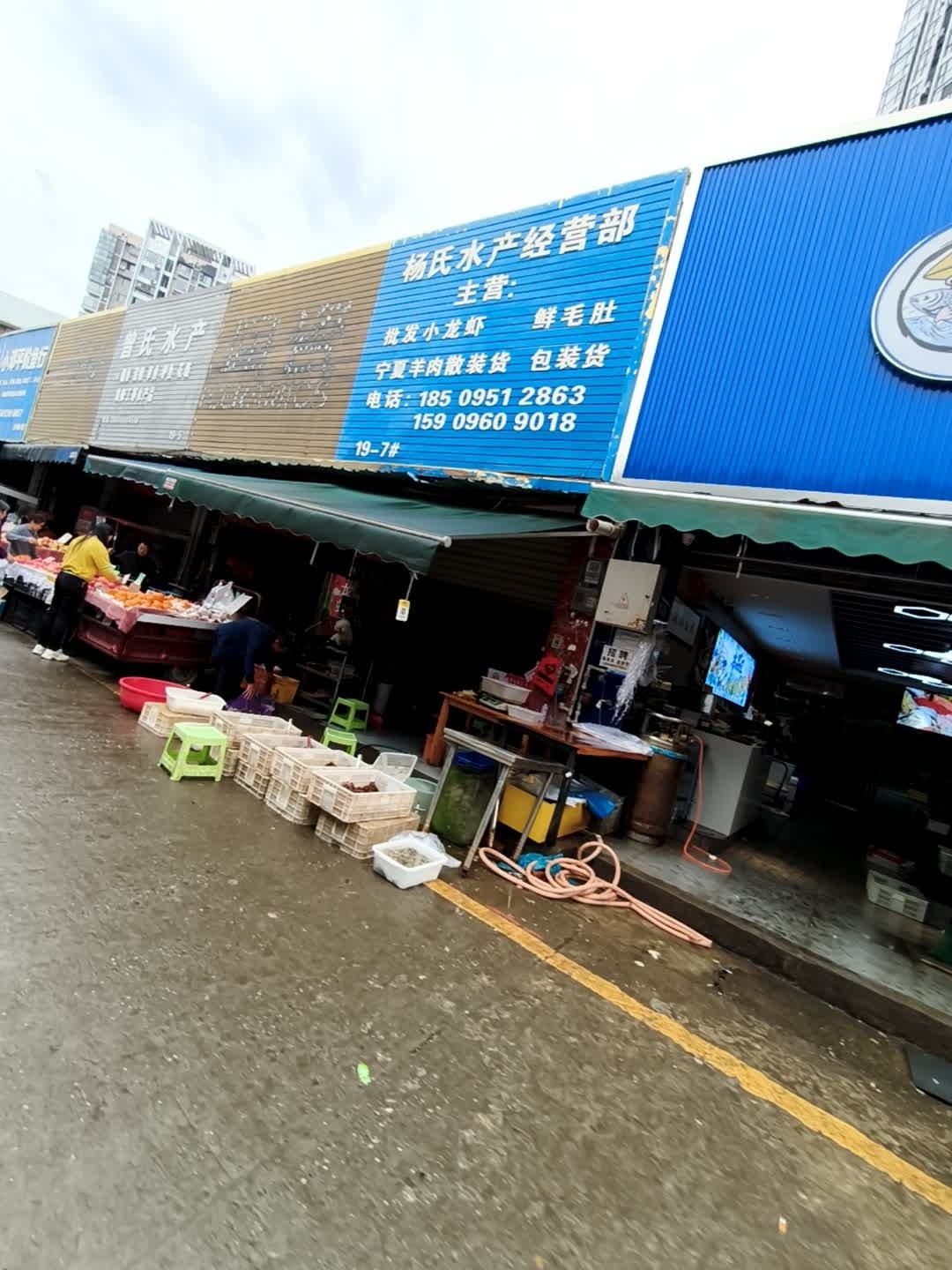 杨氏水产经营部