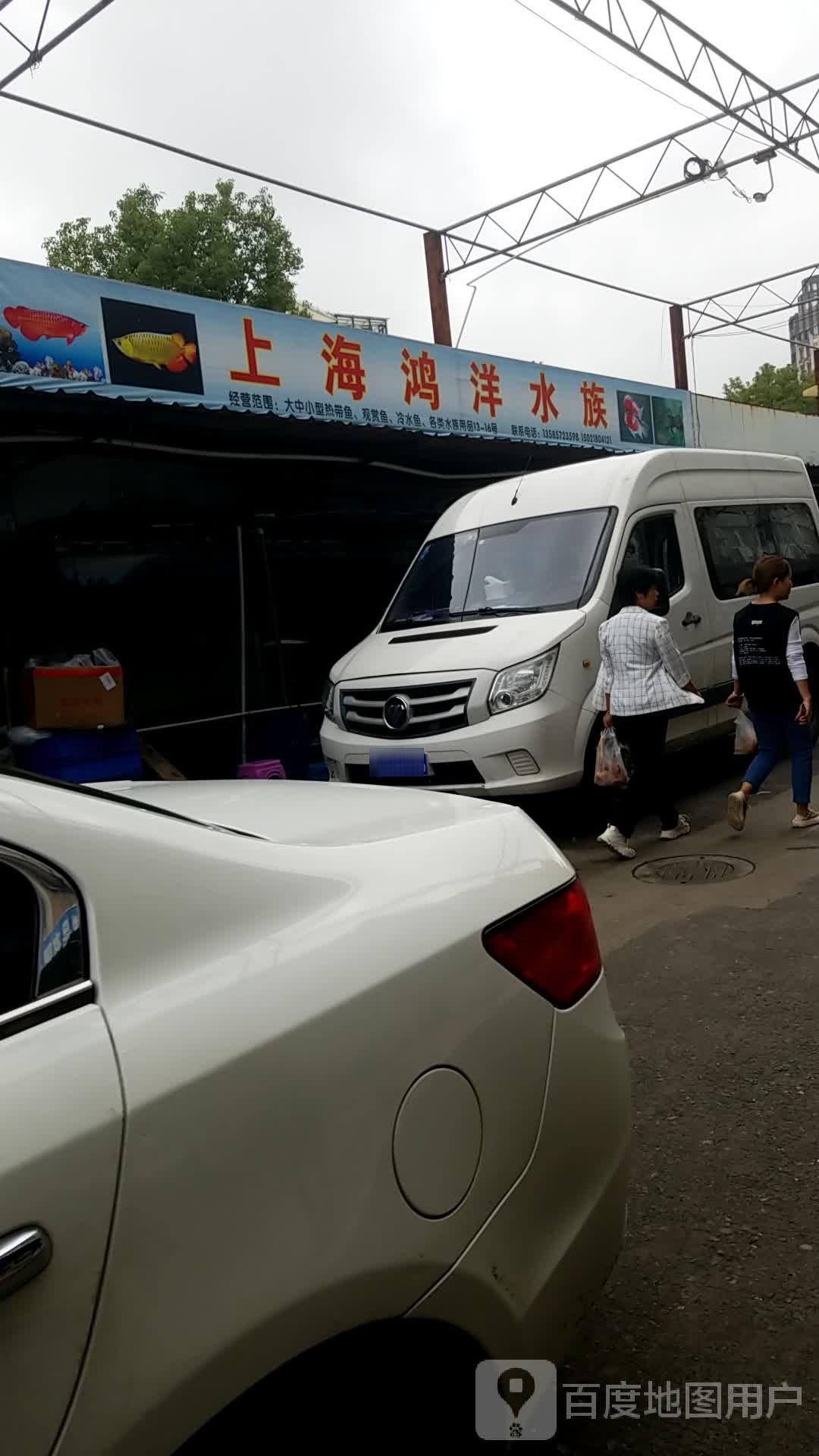 上海鸿洋水族