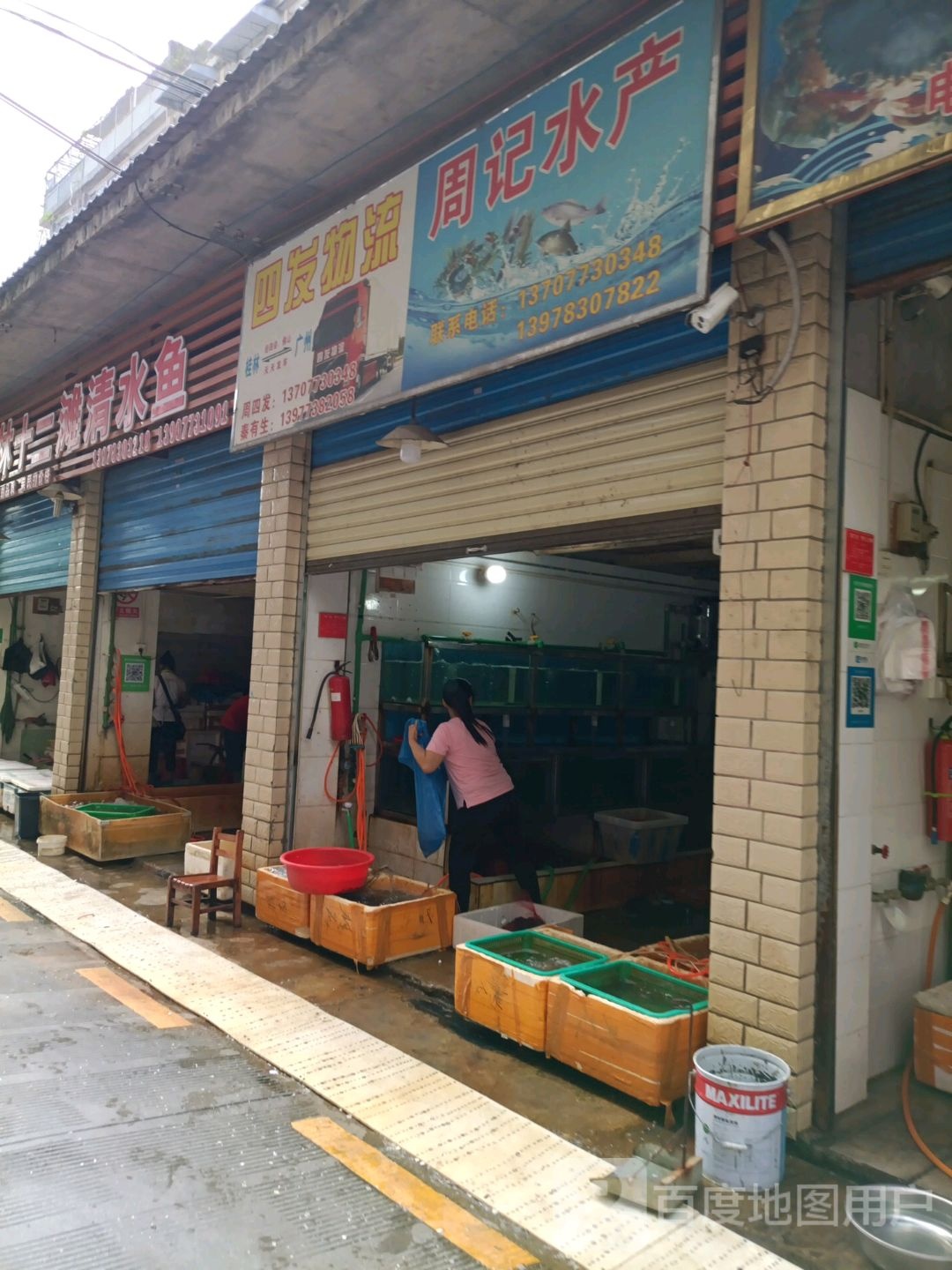 桂林十二滩清水鱼