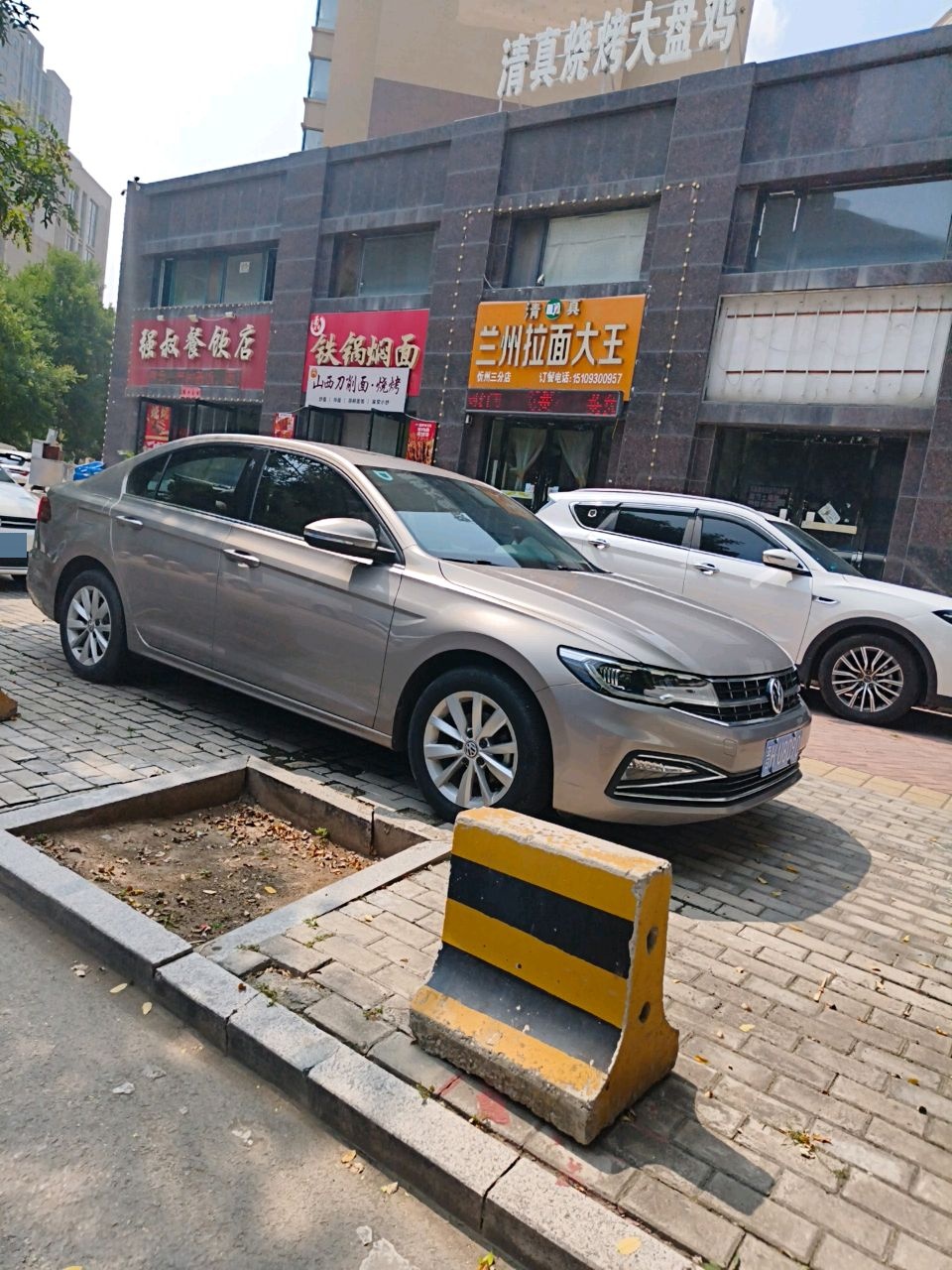 清真烧烤大盘鸡