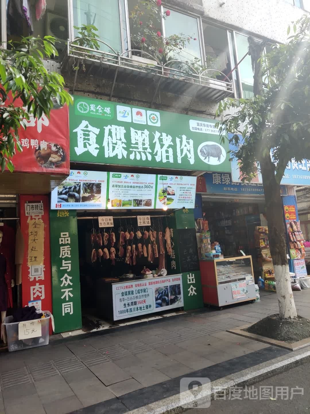 食碟黑猪一