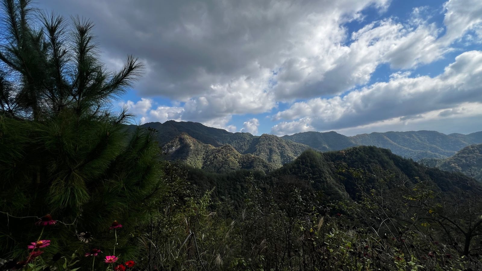 九龙山