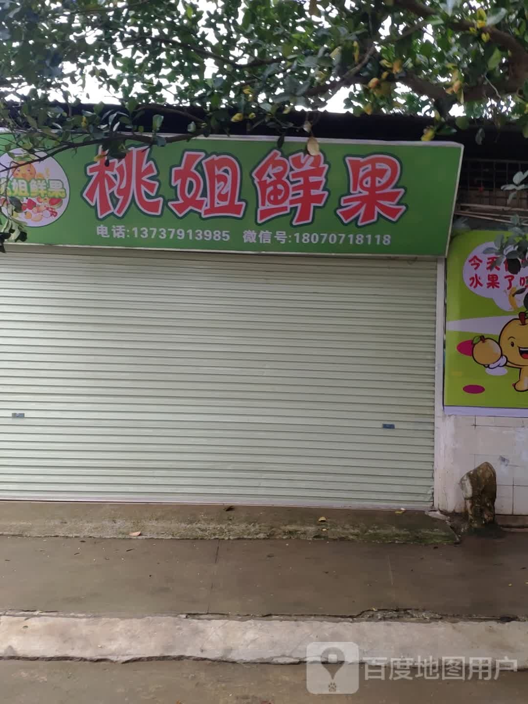 桃姐鲜果供应链